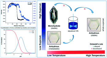 Graphical abstract: Crystallization behavior of citric acid based on solution speciation and growth kinetics