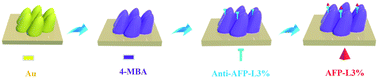 Graphical abstract: Au nanocone array with 3D hotspots for biomarker chips