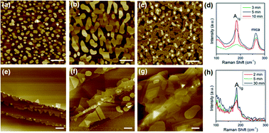 Graphical abstract: Controllable growth of two-dimensional SnSe2 flakes with screw dislocations and fractal structures