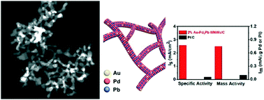 Graphical abstract: Au-Doped intermetallic Pd3Pb wavy nanowires as highly efficient electrocatalysts toward the oxygen reduction reaction