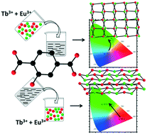 Graphical abstract: Lanthanide-based molecular alloys with hydroxyterephthalate: a versatile system