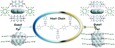 Graphical abstract: Various guest PAHs locked into a soft-cavity-type host assembled via halogen bonds to form luminescent cocrystals