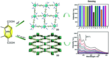 Graphical abstract: Novel alkaline earth metal–organic frameworks with thiophene groups for selective detection of Fe3+