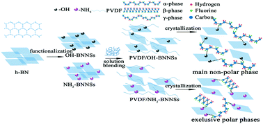 Graphical abstract: Polar crystalline phases of PVDF induced by interaction with functionalized boron nitride nanosheets