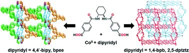 Graphical abstract: Co(ii) coordination polymers constructed from a bent chiral linker: influencing framework topology using co-ligands