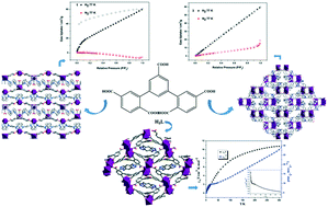 Graphical abstract: Structural diversity, gas adsorption and magnetic properties of three coordination polymers based on a rigid multicarboxylate ligand