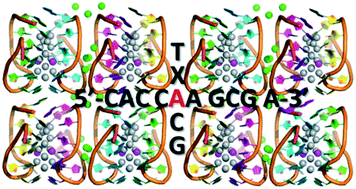 Graphical abstract: Mutation of position 5 as a crystal engineering tool for a NIR-emitting DNA-stabilized Ag16 nanocluster