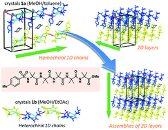 Graphical abstract: Homochiral and heterochiral associations observed in crystals of ArSO2-(Aib)5-OMe