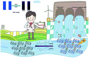 Graphical abstract: A cucurbit[6]uril-based supramolecular assembly test strip for immediate detection of nitrofuran antibiotics in water