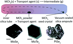 Graphical abstract: Seeded growth of high-quality transition metal dichalcogenide single crystals via chemical vapor transport