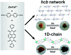 Graphical abstract: Photochromism and photoresponsive luminescence in naphthalenediimide coordination polymers with high thermostability