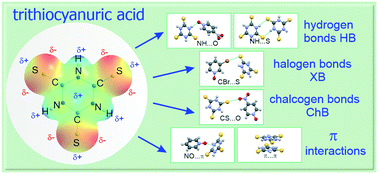 Graphical abstract: The role of sulfur interactions in crystal architecture: experimental and quantum theoretical studies on hydrogen, halogen, and chalcogen bonds in trithiocyanuric acid–pyridine N-oxide co-crystals