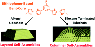 Graphical abstract: Self-assembled structures of bent-shaped π-conjugated compounds: effect of siloxane groups for nano-segregation