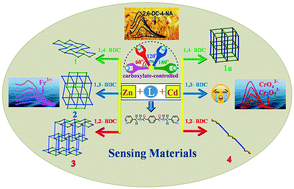 Graphical abstract: Multifunctional fluorescence responses of phenyl-amide-bridged d10 coordination polymers structurally regulated by dicarboxylates and metal ions