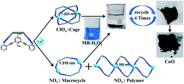 Graphical abstract: Synthesis, structure, and heterogeneous Fenton reaction of new Cu(ii)-based discrete Cu2Lx coordination complexes