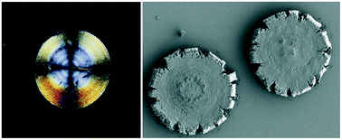 Graphical abstract: Growth and inhibition of monohydrate sodium urate banded spherulites