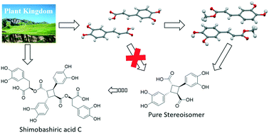 Graphical abstract: Crystal engineering construction of caffeic acid derivatives with potential applications in pharmaceuticals and degradable polymeric materials