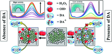 Graphical abstract: Mildly acidic pH and room temperature triggered peroxidase-mimics of rGO–Cu3(OH)2(MoO4)2 cuboidal nanostructures: an effective colorimetric detection of neurotransmitter dopamine in blood serum and urine samples