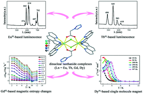 Graphical abstract: A new family of dinuclear lanthanide complexes exhibiting luminescence, magnetic entropy changes and single molecule magnet behaviors