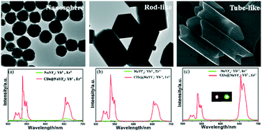 Graphical abstract: A strategy to enhance the up-conversion luminescence of nanospherical, rod-like and tube-like NaYF4: Yb3+, Er3+ (Tm3+) by combining with carbon dots