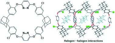 Graphical abstract: Solvent-dependent alignments and halogen-related interactions in inclusion crystals of adamantane-based macrocycle with pyridazine moieties