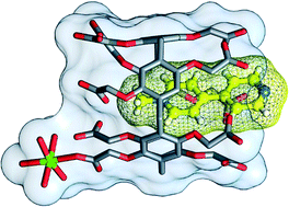 Graphical abstract: Unveiling the structural features of the host–guest complexes of carboxylated pillar[5]arene with viologen derivatives