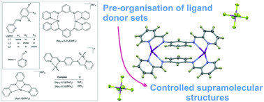 Graphical abstract: Pre-organisation of ligand donor sets modulates the supramolecular structure of bis(pyridyl–imine) silver(i) chelates