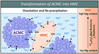 Graphical abstract: Effect of temperature on the transformation of amorphous calcium magnesium carbonate with near-dolomite stoichiometry into high Mg-calcite