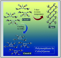 Graphical abstract: Conformational switch in the crystal states of a calix[4]arene