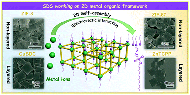 Graphical abstract: A small molecule with a big scissoring effect: sodium dodecyl sulfate working on two-dimensional metal–organic frameworks
