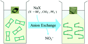 Graphical abstract: Supramolecular isomerism between cyclodimeric and sinusoidal 1D coordination polymers: competition of tunable argentophilic vs. electrostatic interactions