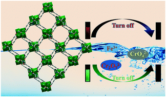 Graphical abstract: Efficient detection of Fe(iii) and chromate ions in water using two robust lanthanide metal–organic frameworks