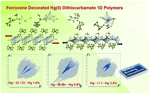 Graphical abstract: Ferrocene decorated unusual mercury(ii) dithiocarbamate coordination polymers: crystallographic and computational studies
