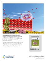 Graphical abstract: Inside back cover