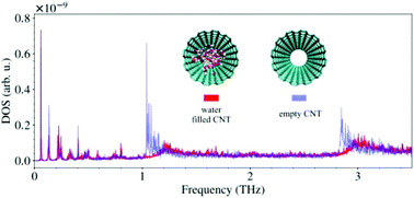 Graphical abstract: Phonon coupling induced thermophoresis of water confined in a carbon nanotube