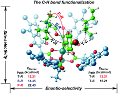 Graphical abstract: Theoretical study of the mechanism behind the site- and enantio-selectivity of C–H functionalization catalysed by chiral dirhodium catalyst