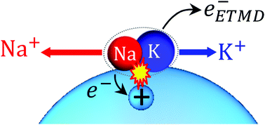 Graphical abstract: Electron transfer mediated decay of alkali dimers attached to He nanodroplets