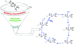 Graphical abstract: Two-sites are better than one: revisiting the OER mechanism on CoOOH by DFT with electrode polarization