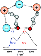 Graphical abstract: Counting cations involved in cationic clusters of hydroxy-functionalized ionic liquids by means of infrared and solid-state NMR spectroscopy