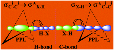 Graphical abstract: Non-covalent interactions with inverted carbon: a carbo-hydrogen bond or a new type of hydrogen bond?
