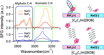 Graphical abstract: Interfacial structuring of non-halogenated imidazolium ionic liquids at charged surfaces: effect of alkyl chain length