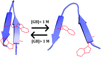 Graphical abstract: Can glycine betaine denature proteins?