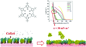 Graphical abstract: The antibacterial activity of p-tert-butylcalix[6]arene and its effect on a membrane model: molecular dynamics and Langmuir film studies