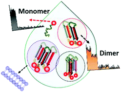 Graphical abstract: Membrane affinity of individual toxic protein oligomers determined at the single-molecule level