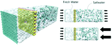 Graphical abstract: Salt parameterization can drastically affect the results from classical atomistic simulations of water desalination by MoS2 nanopores