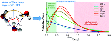 Graphical abstract: Connection of large amplitude angular jump motions with temporal heterogeneity in aqueous solutions