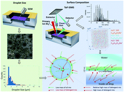 Graphical abstract: Liquid ToF-SIMS revealing the oil, water, and surfactant interface evolution