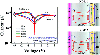 Graphical abstract: Negative differential resistance effect in resistive switching devices based on h-LuFeO3/CoFe2O4 heterojunctions