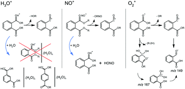 Graphical abstract: Ion chemistry of phthalates in selected ion flow tube mass spectrometry: isomeric effects and secondary reactions with water vapour