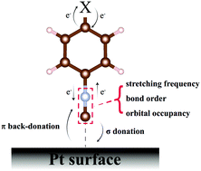 Graphical abstract: A quantum chemical study of substituent effects on CN bonds in aryl isocyanide molecules adsorbed on the Pt surface